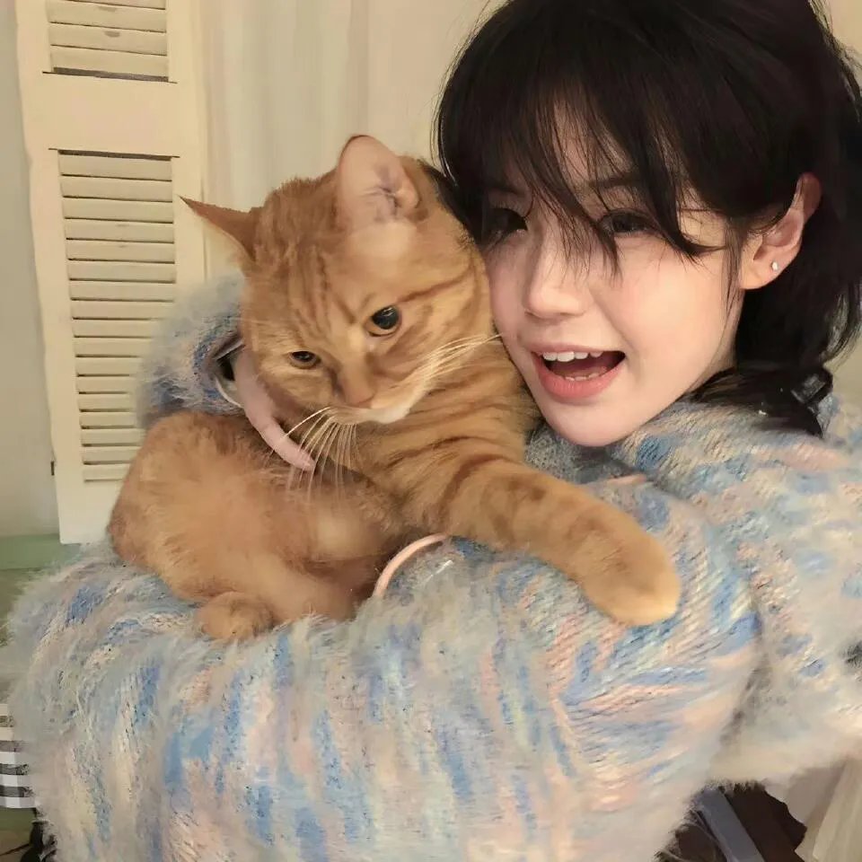 金毛喜迎冬